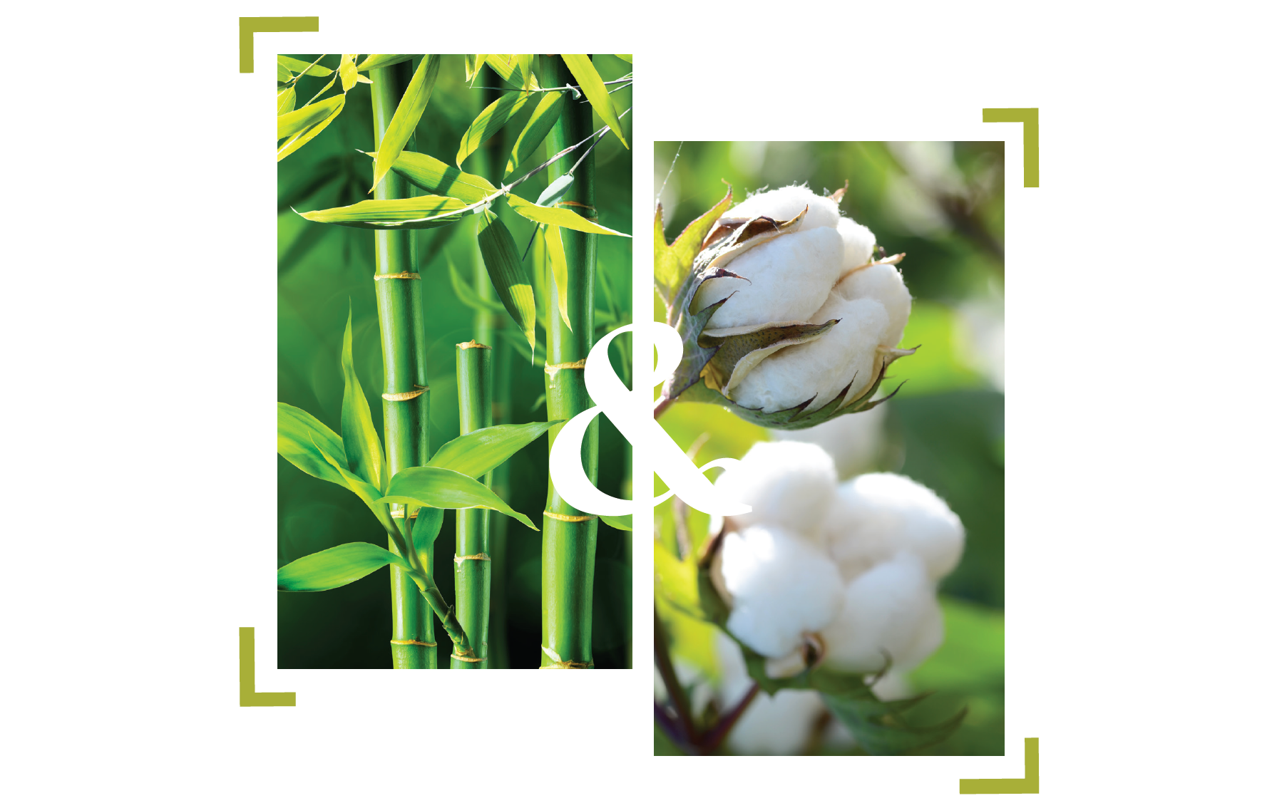 Introducing Moongill: Where Cotton Meets Bamboo Elegance